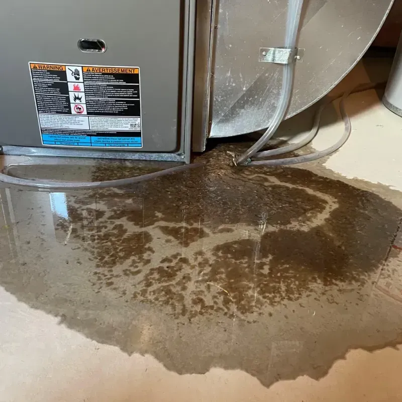 Appliance Leak Cleanup in Madisonville, KY